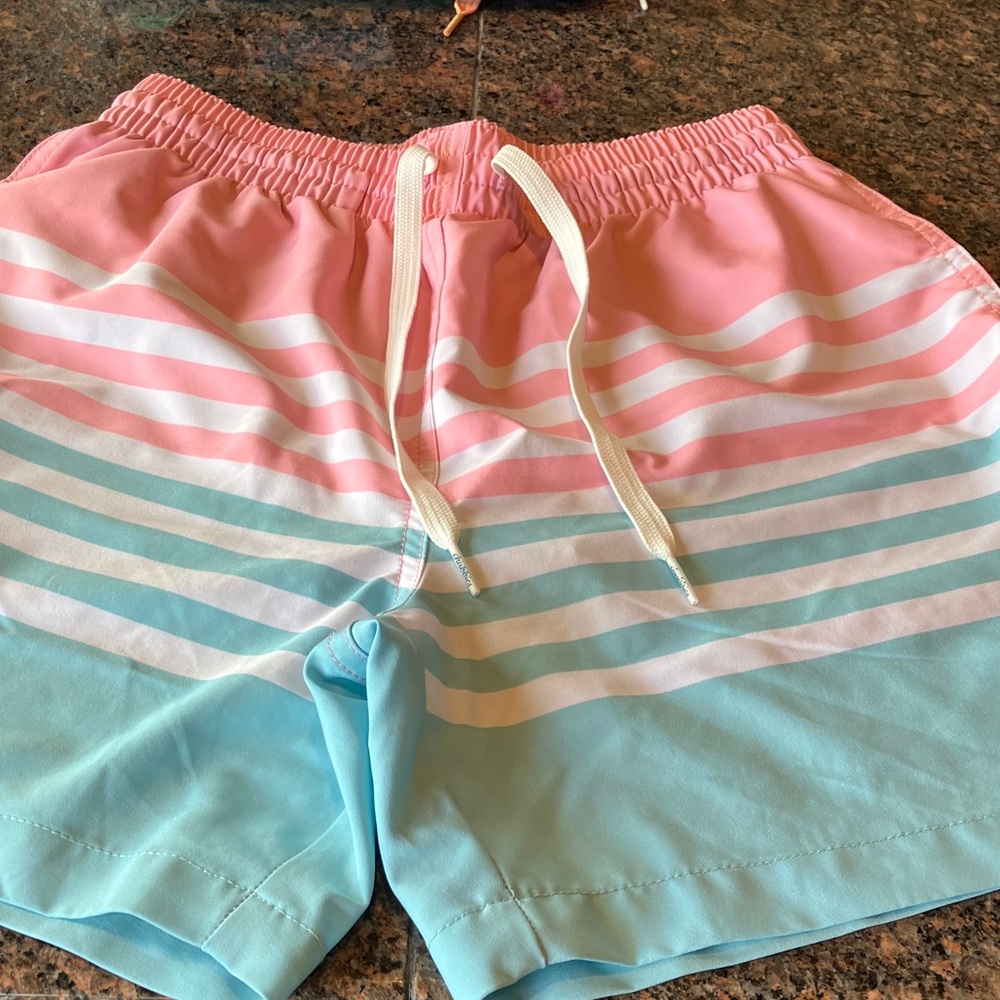 Chubbies Pink and Blue Swim Shorts